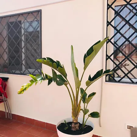 Appartement Lavica Di Mezzo *